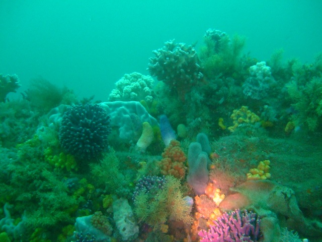 dscf3757 640x480
